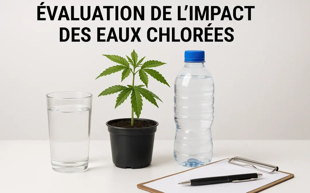 Évaluation de l’Impact des Eaux Chlorées