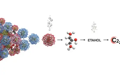 Fermentation alcoolique et énergie