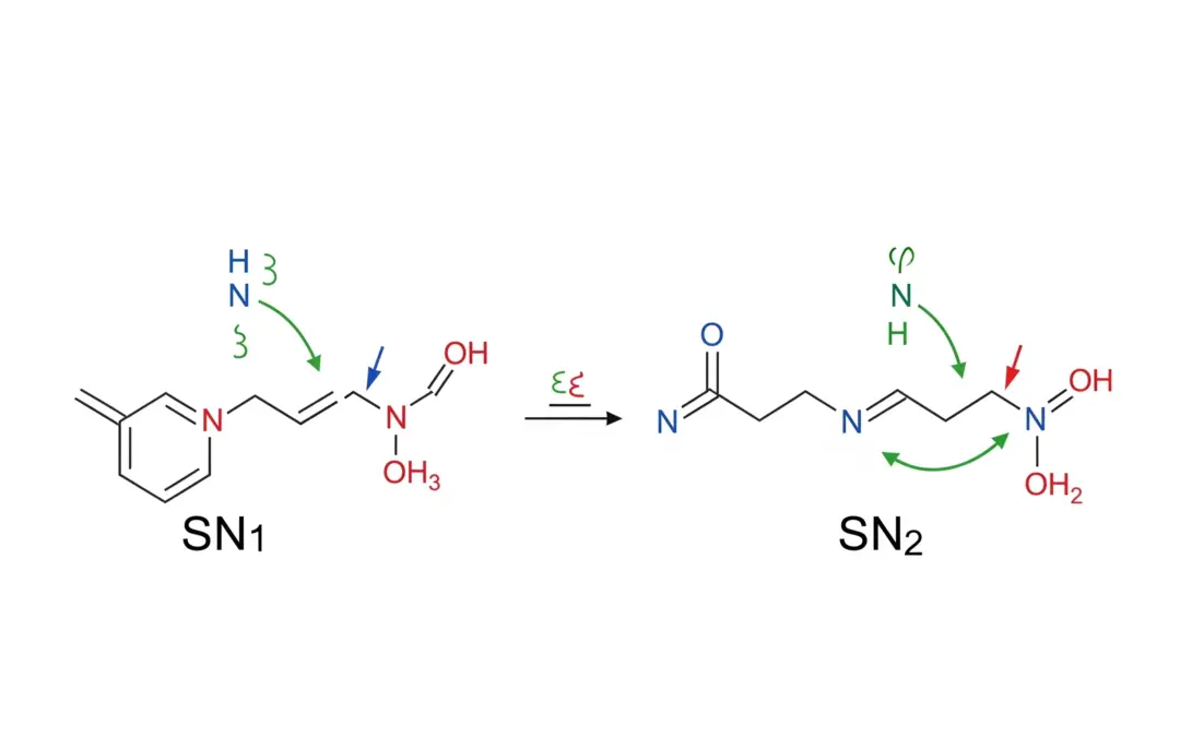 Mécanisme de la Substitution Nucléophile