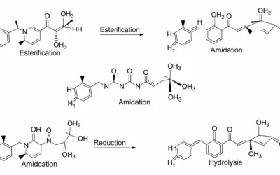Réactions des Acides Carboxyliques et de leurs Dérivés