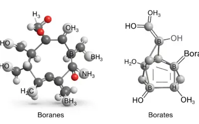 Composés du Bore : Boranes et Borates