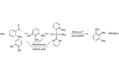 Nitration du Benzène