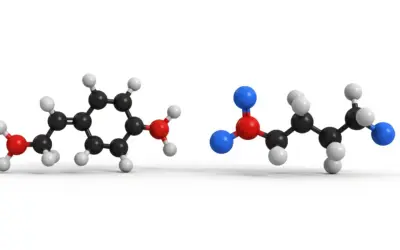 Structure et Classification des Acides Aminés